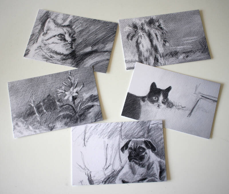 Set of 5 postcards of pencil sketches. The sketches are of a couple of cats, a pug, some desert palms and a desert lily.